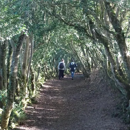 Les De La Dourbie