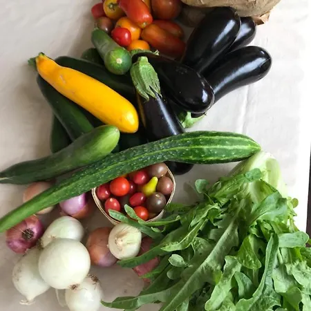 ベッド・アンド・ブレックファスト Les De La Dourbie Nant