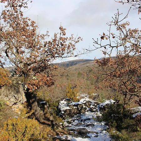 Alojamento de Acomodação e Pequeno-almoço Les De La Dourbie 3*