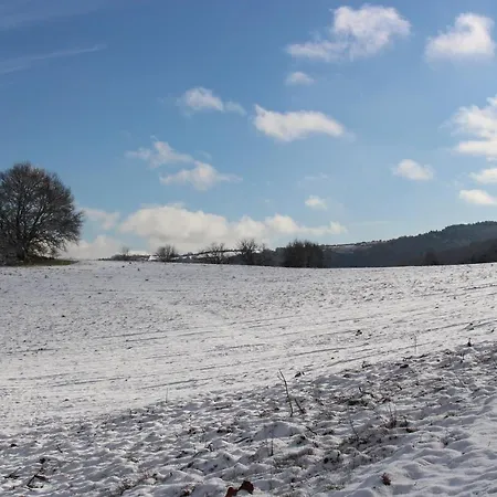 Alojamento de Acomodação e Pequeno-almoço Les De La Dourbie Nant