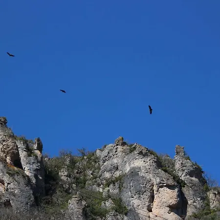 Les De La Dourbie