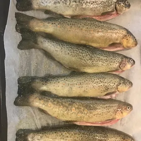 Alojamento de Acomodação e Pequeno-almoço Les De La Dourbie 3*