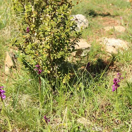 Les De La Dourbie 3* Nant